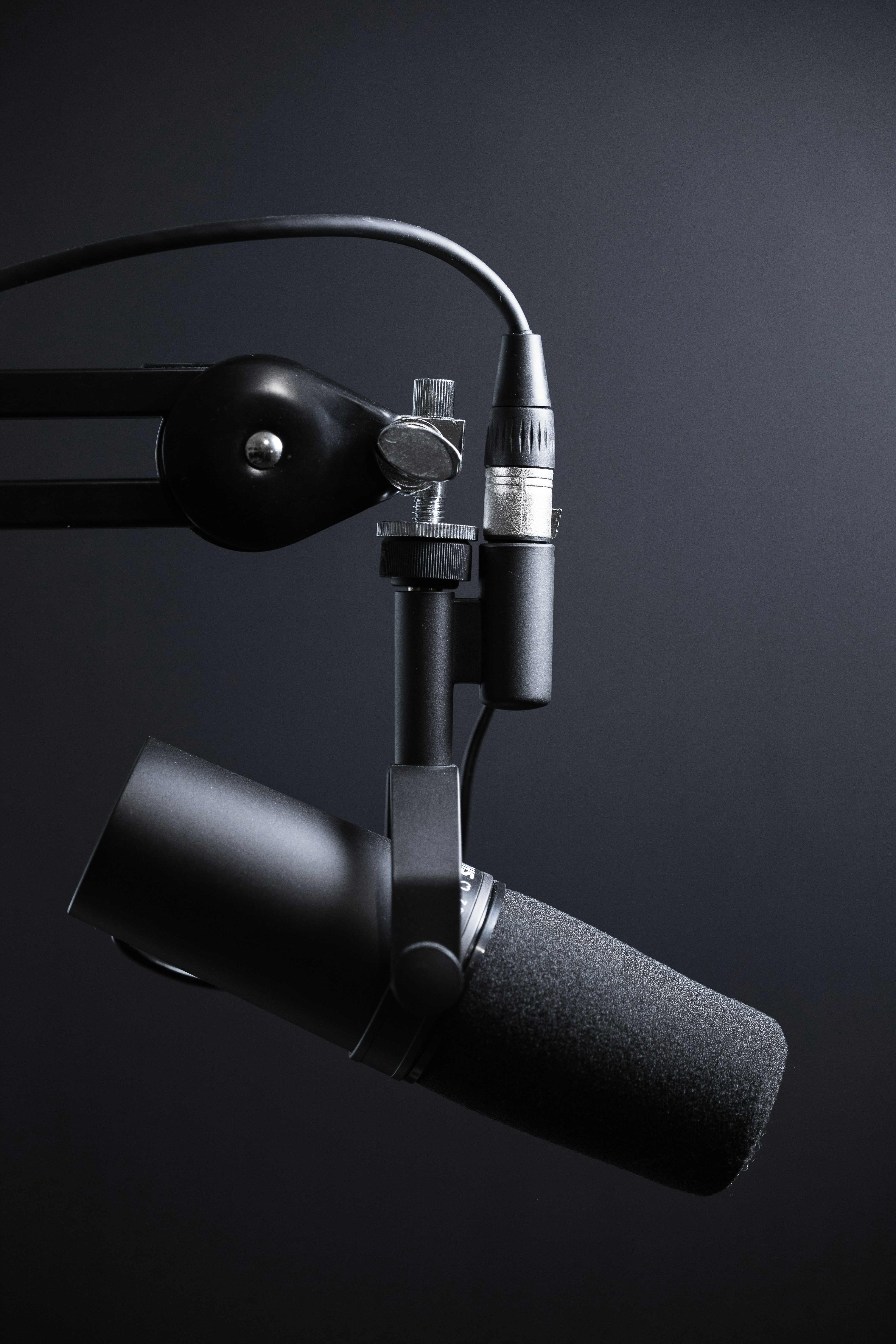 Recording studio microphone